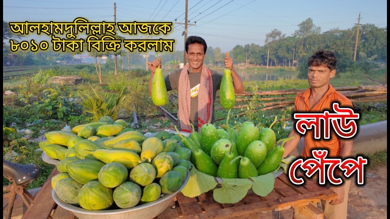 আলহামদুলিল্লাহ আজকে ৮০১০ টাকা বিক্রি করলাম #farmers #agriculture #papaya #bottlegourd #fruit