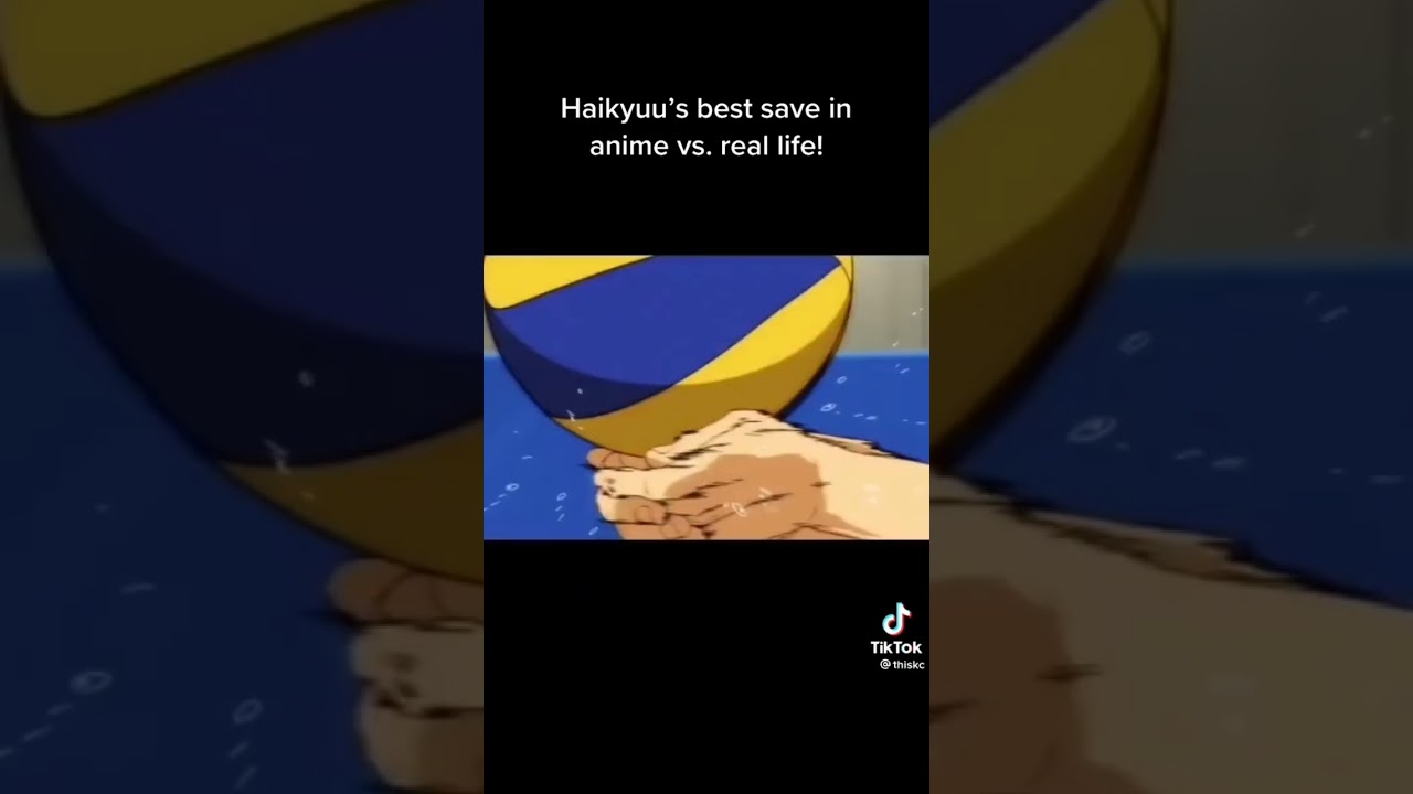 defensa do l&iacute;bero em desenho para vida real animal #volleyball