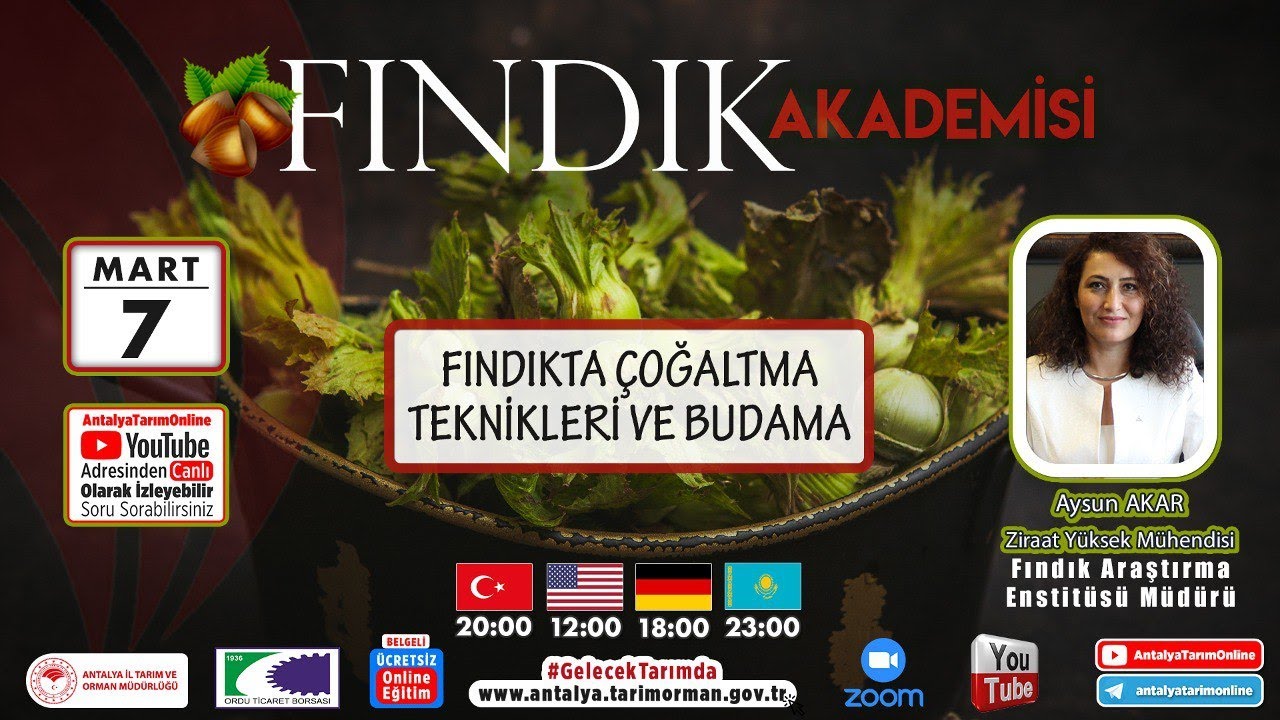 FINDIK AKADEMİSİ-2 FINDIKTA ÇOĞALTMA VE BUDAMA ZİRAAT YÜKSEK MÜHENDİSİ AYSUN AKAR