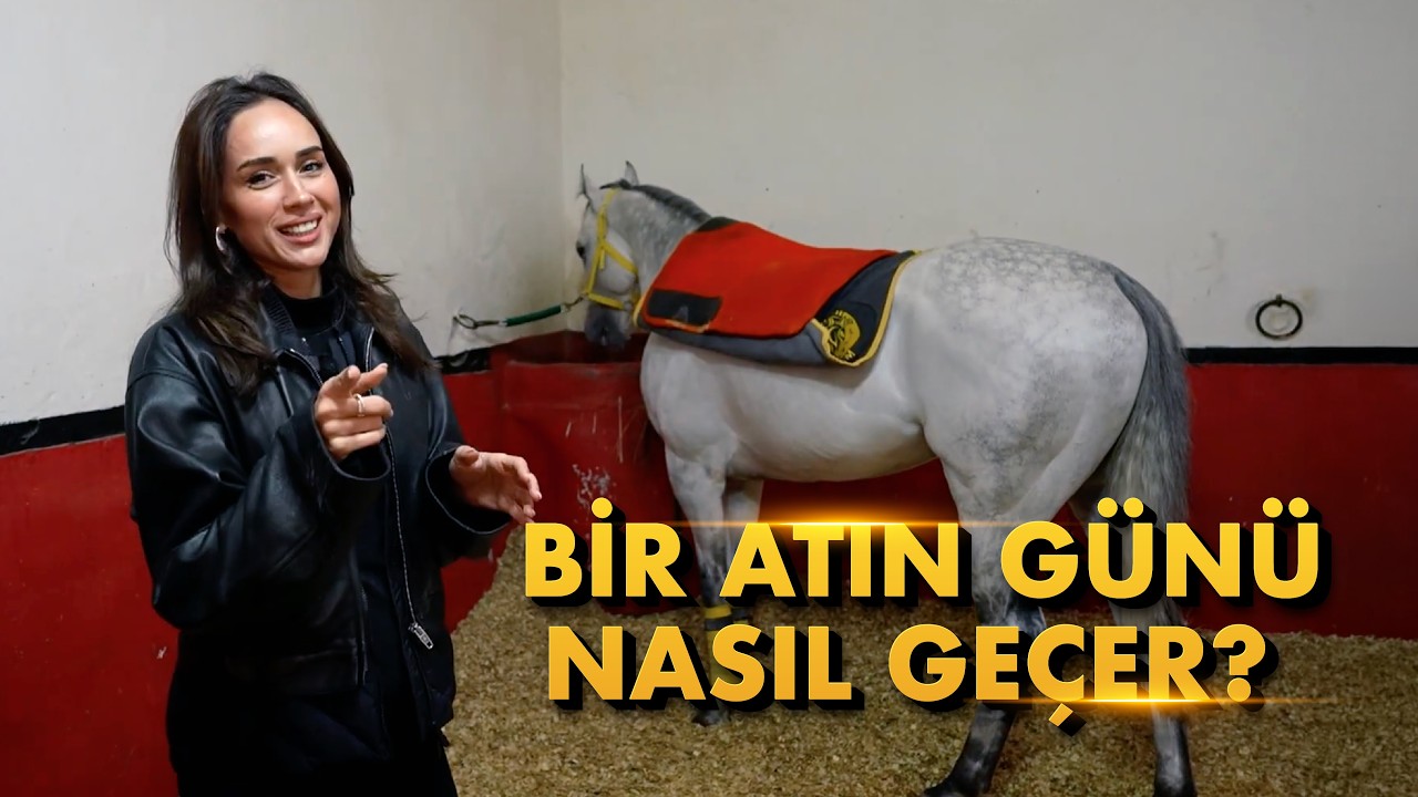 Bir Atın Günü Nasıl Geçer? 🐎 | Damla ile Kulvar Dışı