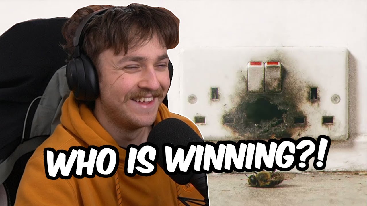 CHIP RESPONDED!! CHIP - PLUGGED OUT (VISUALISER) REACTION