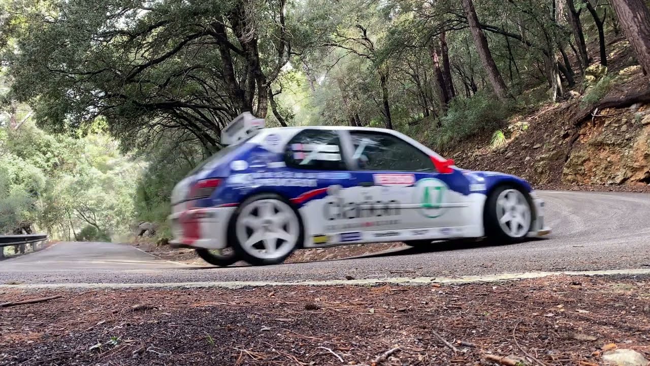 Peugeot 306 Maxi