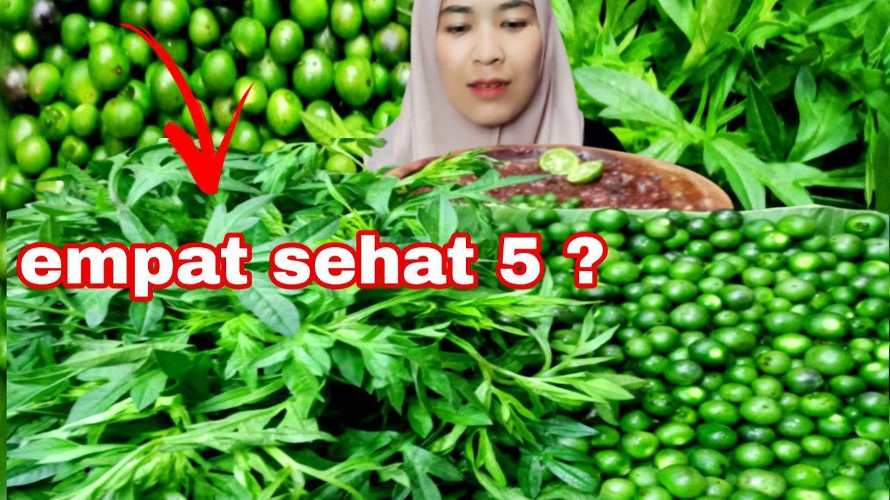 LALAPAN MENTAH‼️LEUNCA,DAUN KENIKIR, SAMBAL TERASI (mukbang)