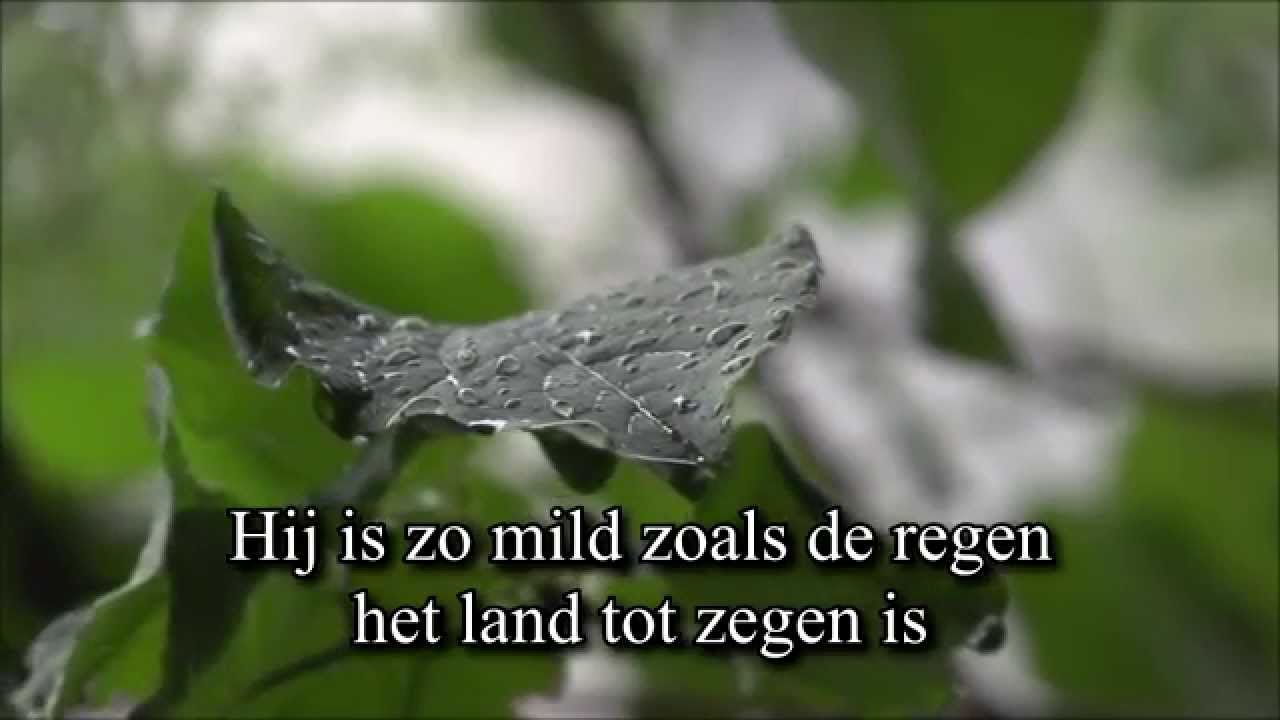 The Psalm Project - Psalm 72