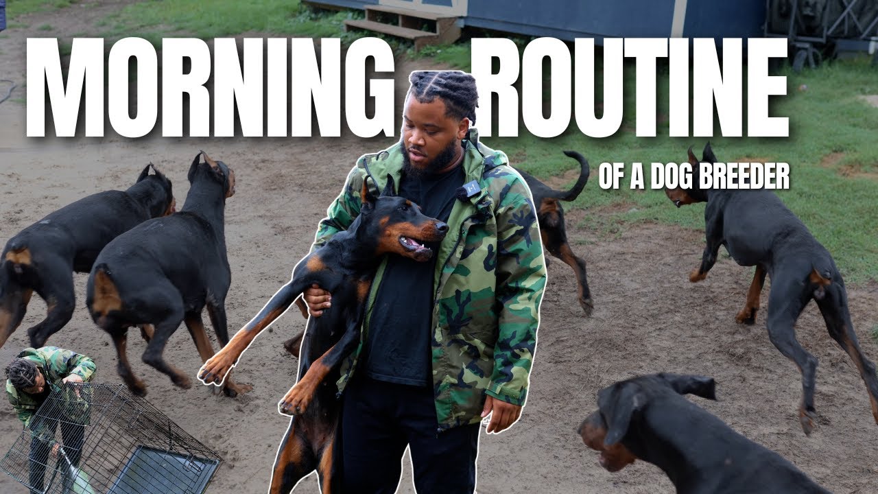 Behind The Scenes: The Morning Routine Of A Dog Breeder