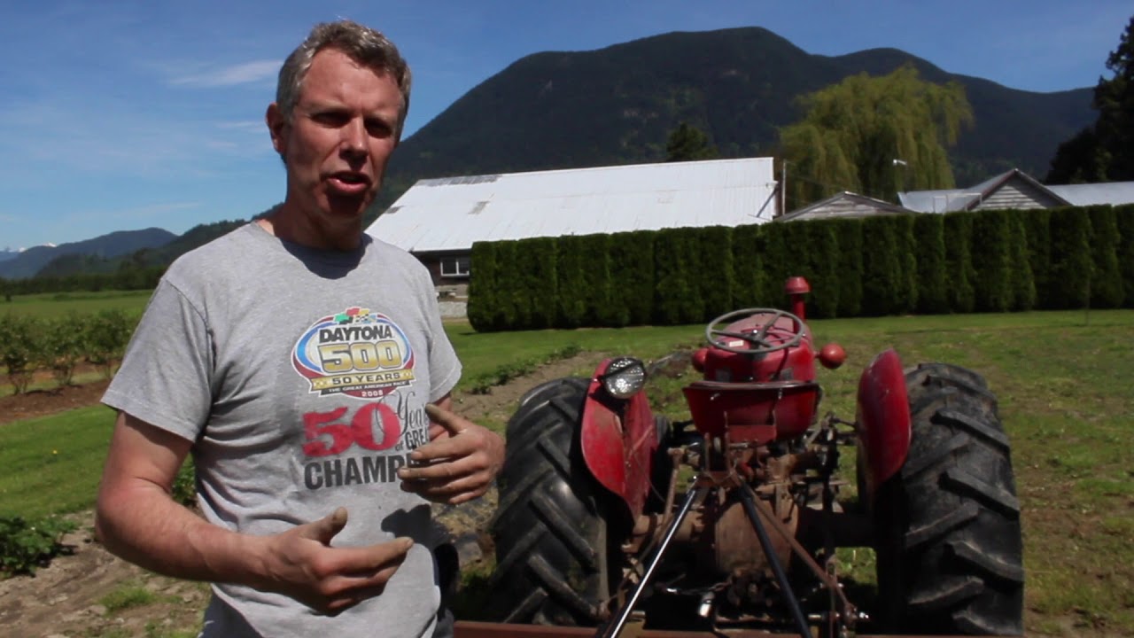 Plastic mulch lifter
