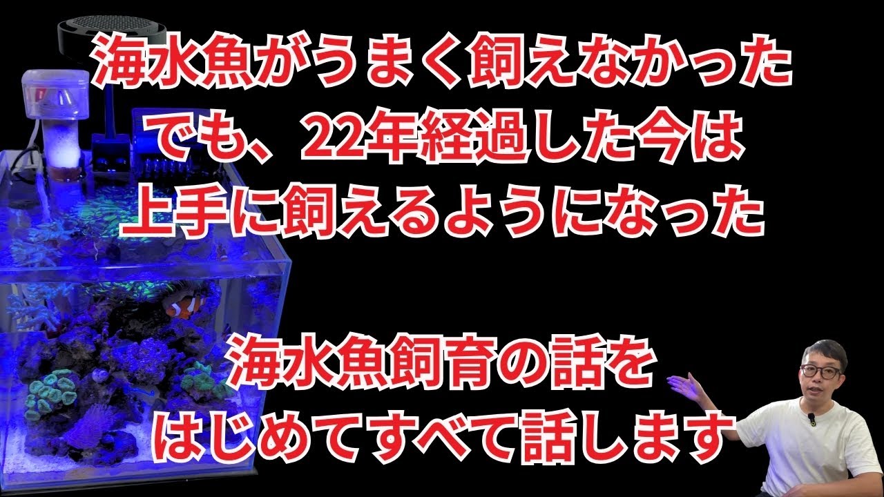 【正直に言います】小型水槽で海水魚やサンゴを飼育する本当のコツを公開します!