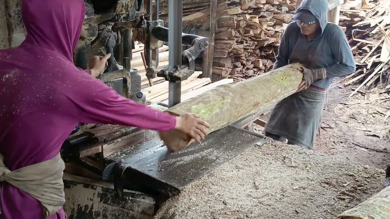 JENIS KAYU BERAT KERAS POTONG BALOK 99 