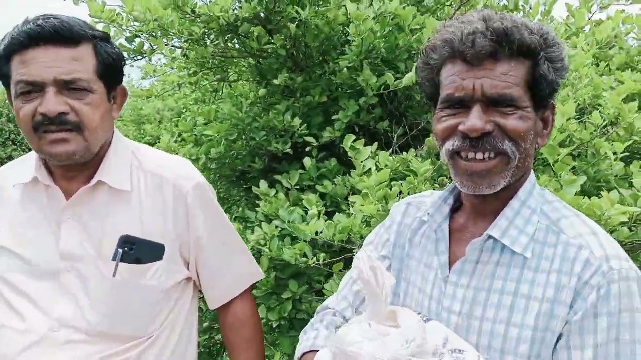 NIMBU ORGANIC FARMING IN BIDAR TALUKA
