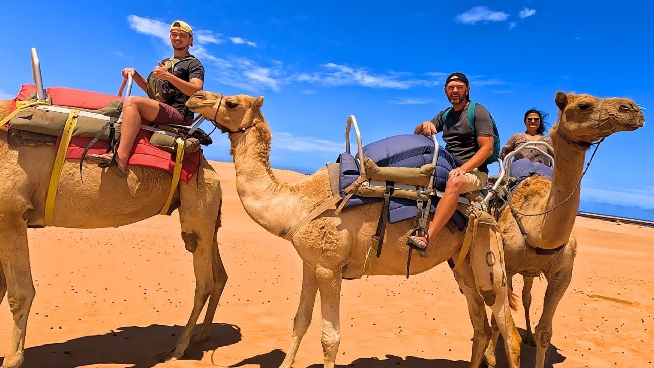 We are RIDING CAMELS in the NAMIB DESERT - Swakopmund Namibia 🇳🇦
