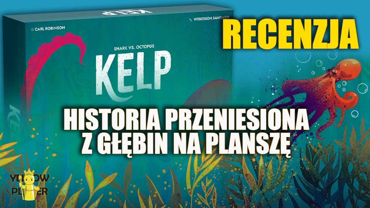 KELP - recenzja asymetrycznej dwuosobówki || dodatki || Galakta