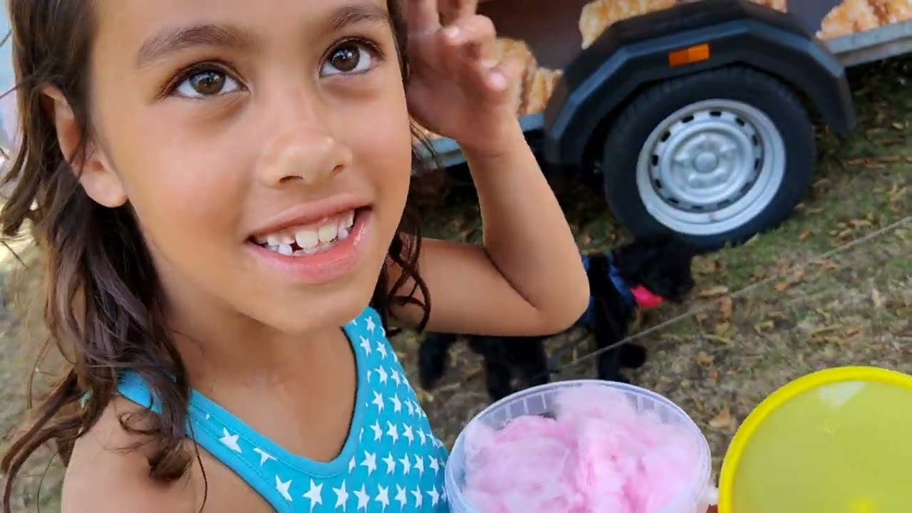 Street Fair ( Braderie ) in Hoenderloo, Netherlands | Vlog