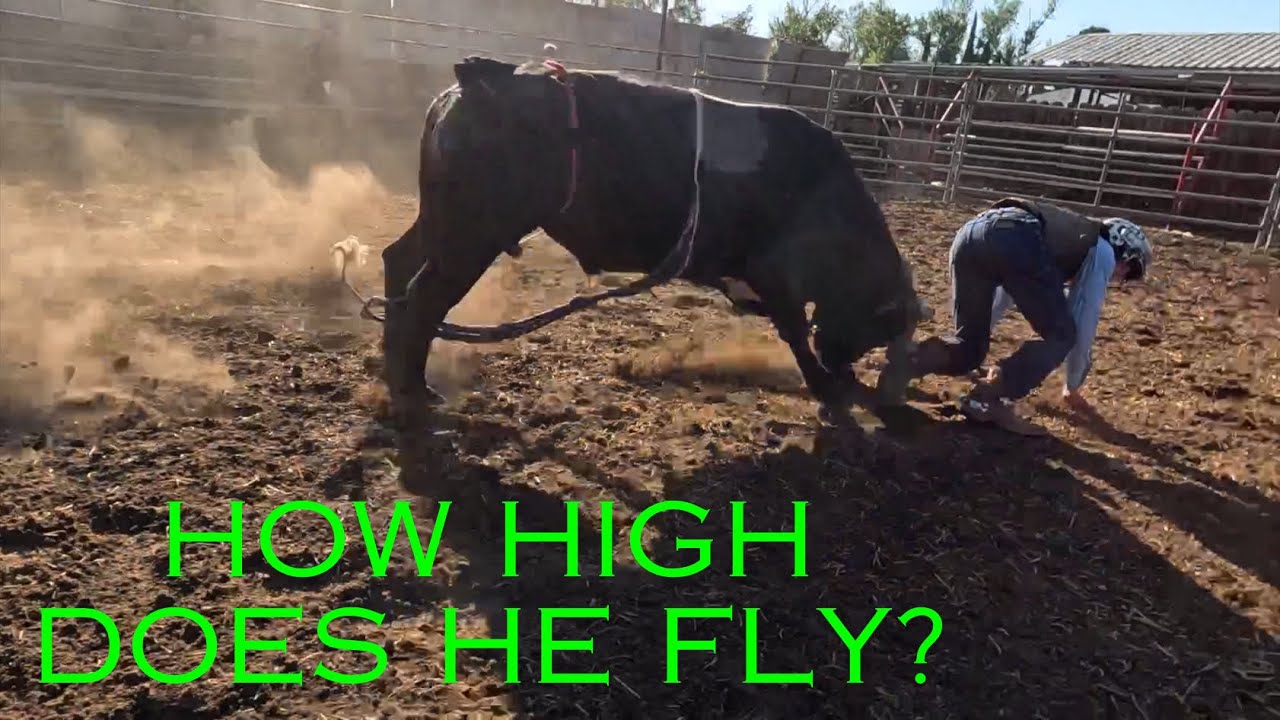 The pros pass back through the Funny Farm and somebody gets launched!!!