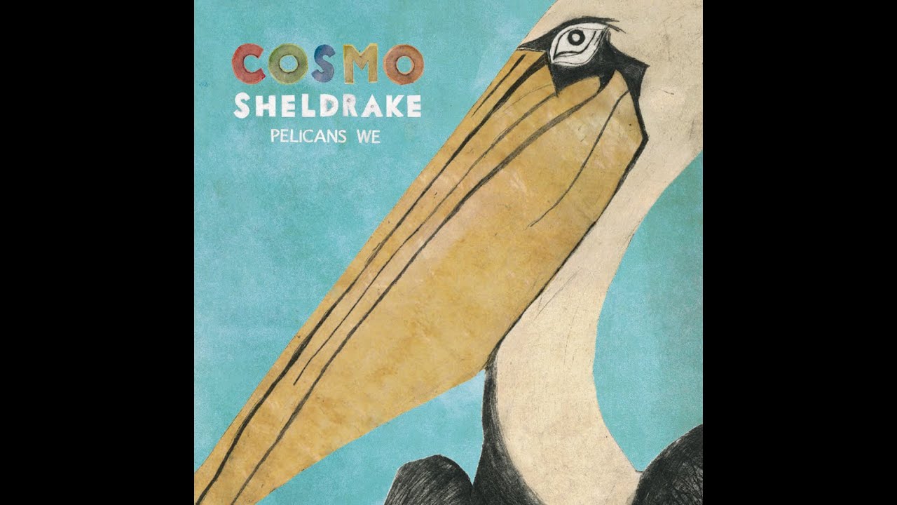 Cosmo Sheldrake - The Fly