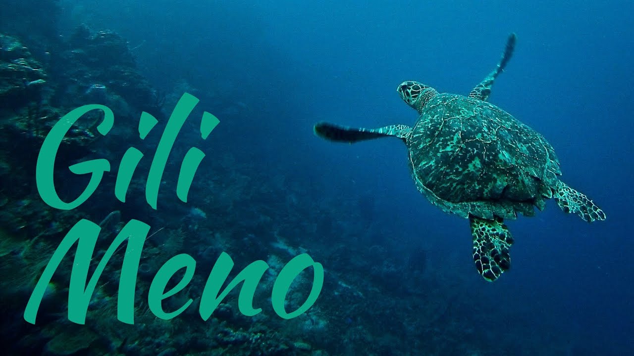 Gili Meno Travel Guide: Snorkeling with Turtles, Seri Hotel & Underwater Statues
