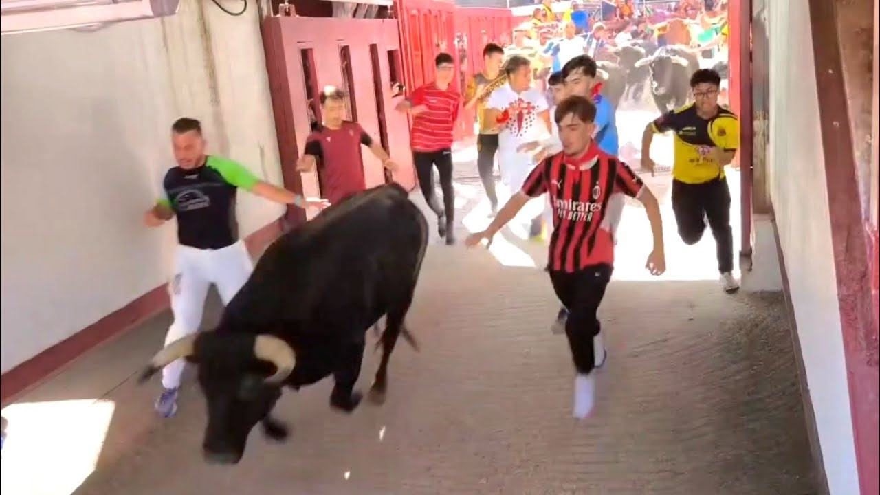 LOCURA EN EL ENCIERRO! Hombres corriendo a centímetros del toro bravo