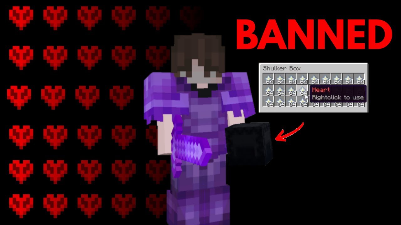 I Joined Random Minecraft Servers AND GOT BANNED