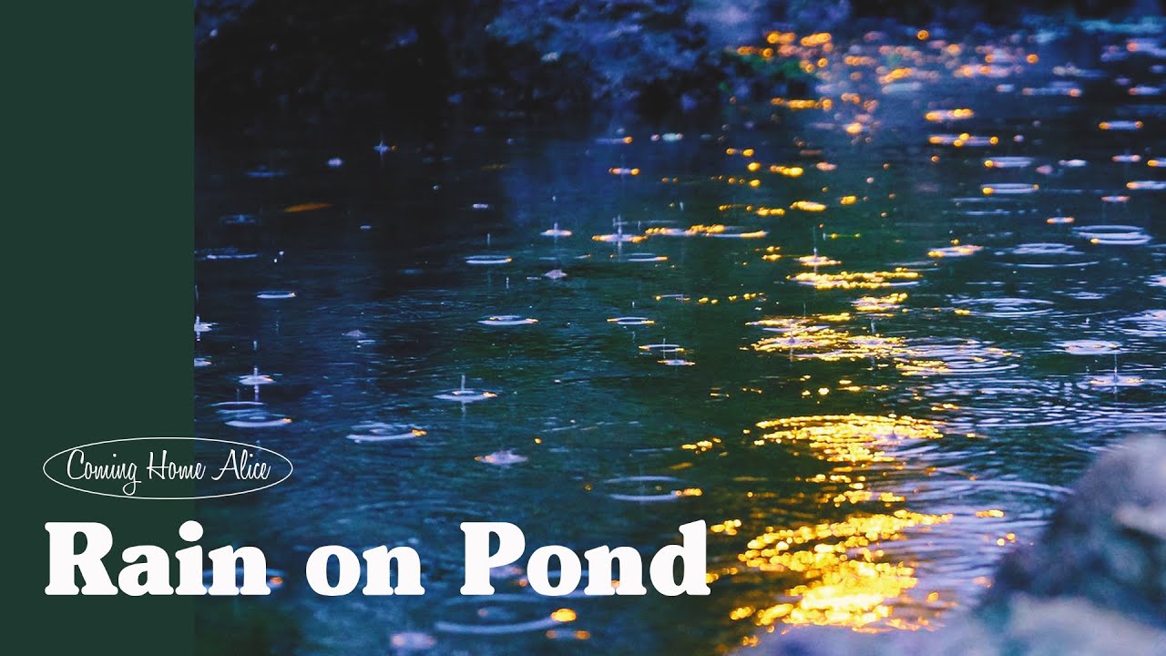 연못 위로 떨어지는 빗소리 들어봤나요?  Rain on Pond ASMR Ambience | Peaceful soothing relaxation
