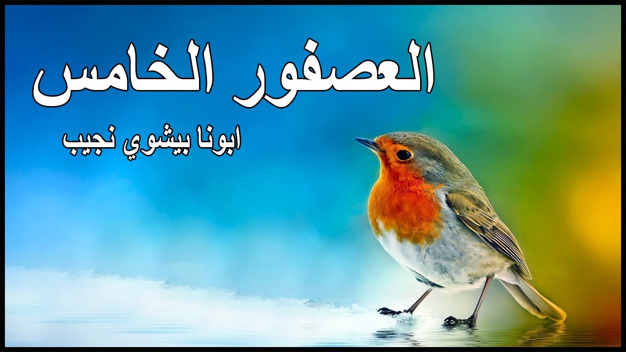 العصفور الخامس...ابونا بيشوي نجيب