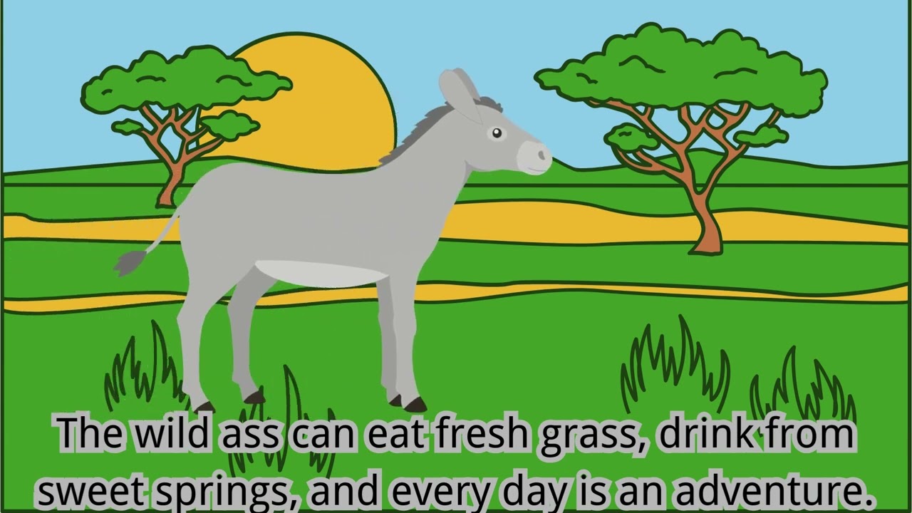 EP77: The Wild Donkey and the Tame Donkey | Kids Story