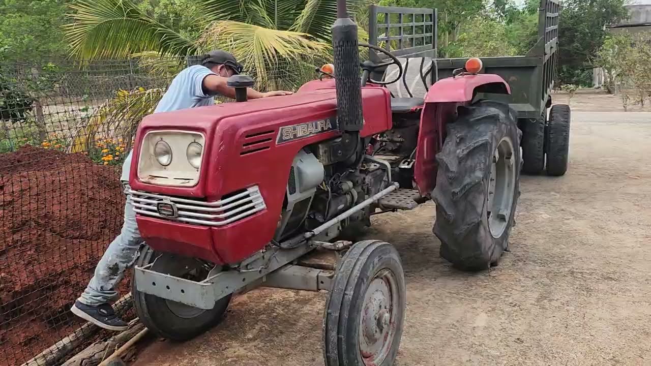 Tiếp tục tết đến rồi. Các bác rước em về ăn tết nha. 0394326198