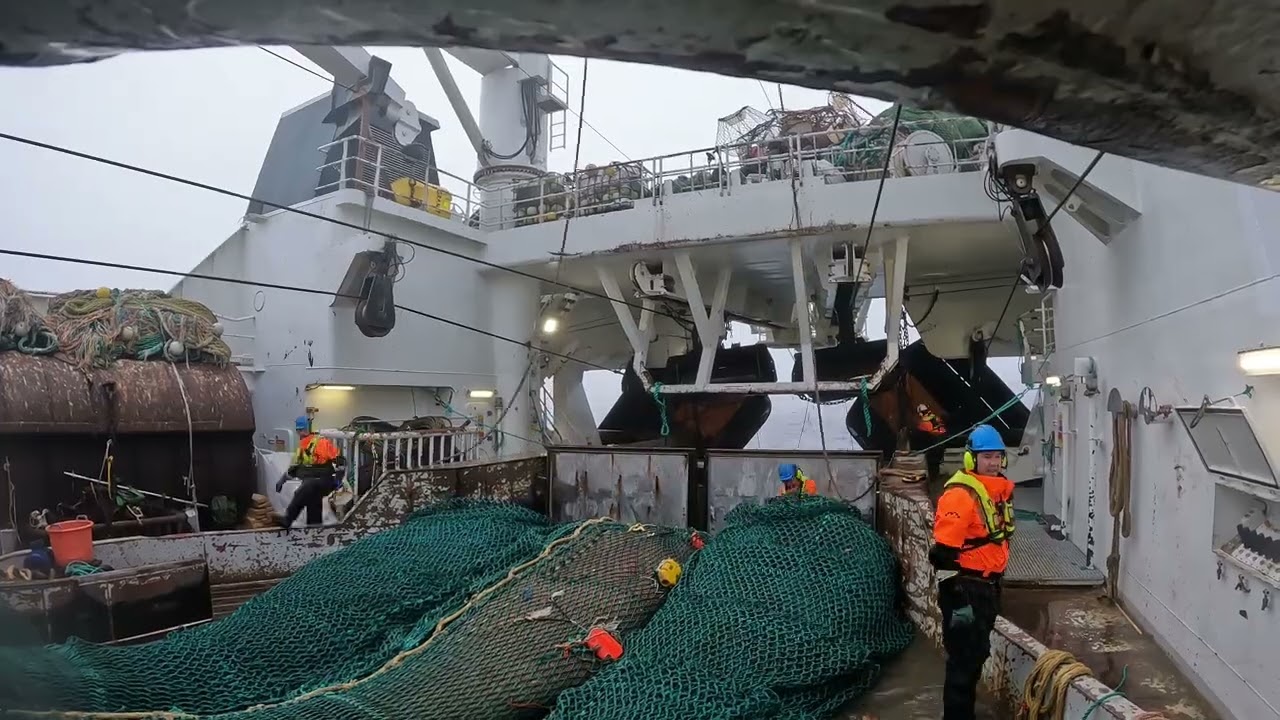 Shrimp fishing 🦐🦐