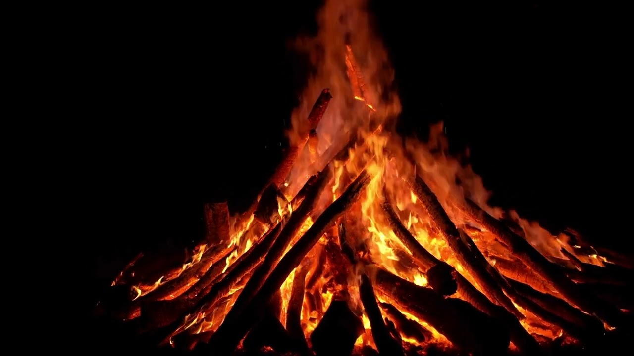Cozy Campfire Sounds 🔥 1 Hour of Pure Fire (No Music)