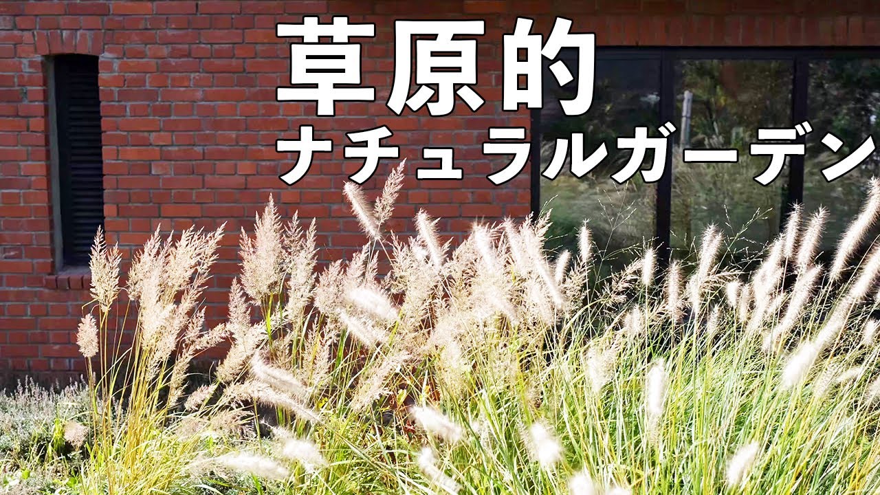 【北海道ナチュラルガーデン】草原のような庭に吹く秋風 メドウガーデン プレーリーガーデン