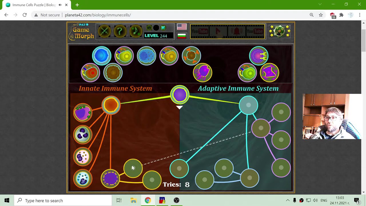The Immune Cells Hierarchy - Interactive Biology Lesson 🦠🎥🎓