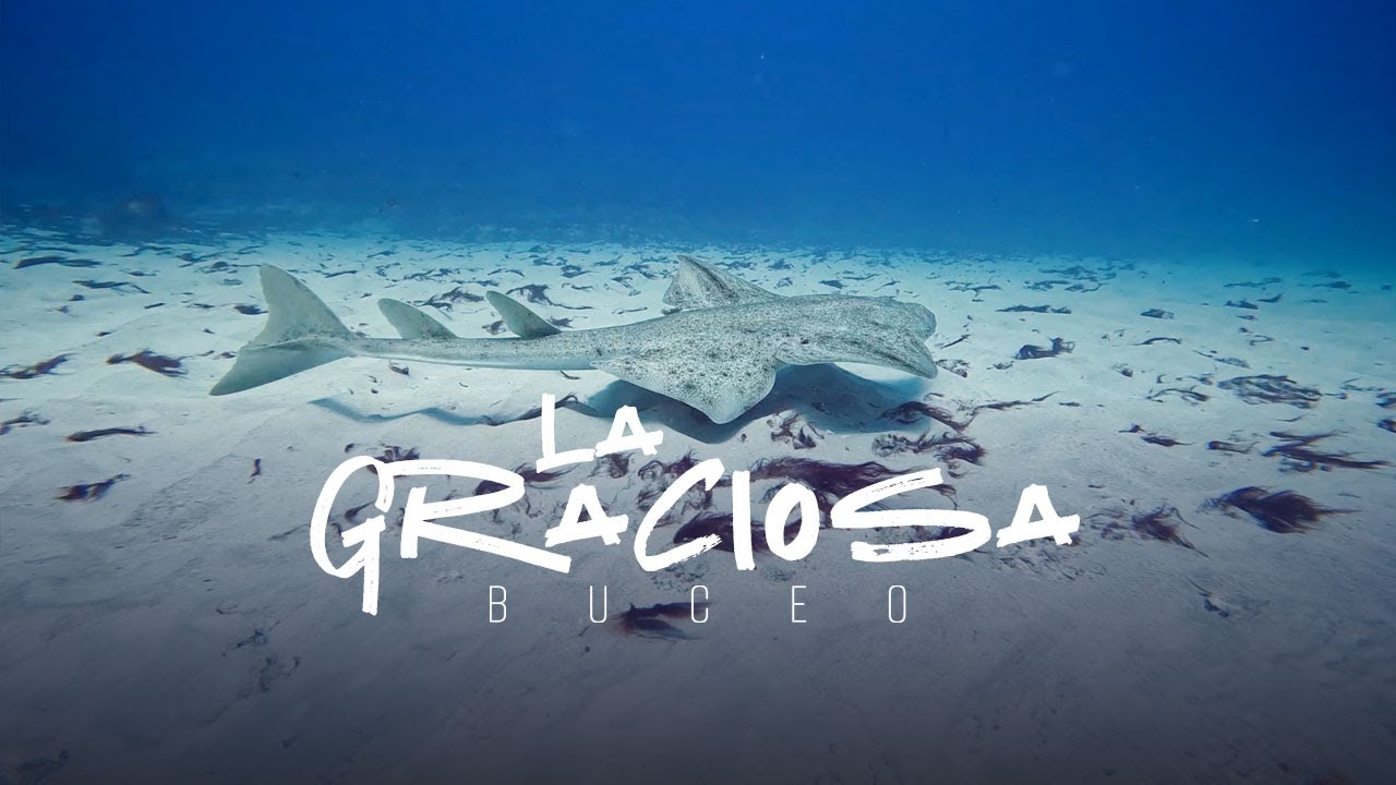 Inmersiones de buceo en la Graciosa | Buceo La Graciosa