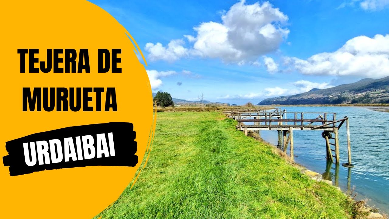 Tejera de Murueta