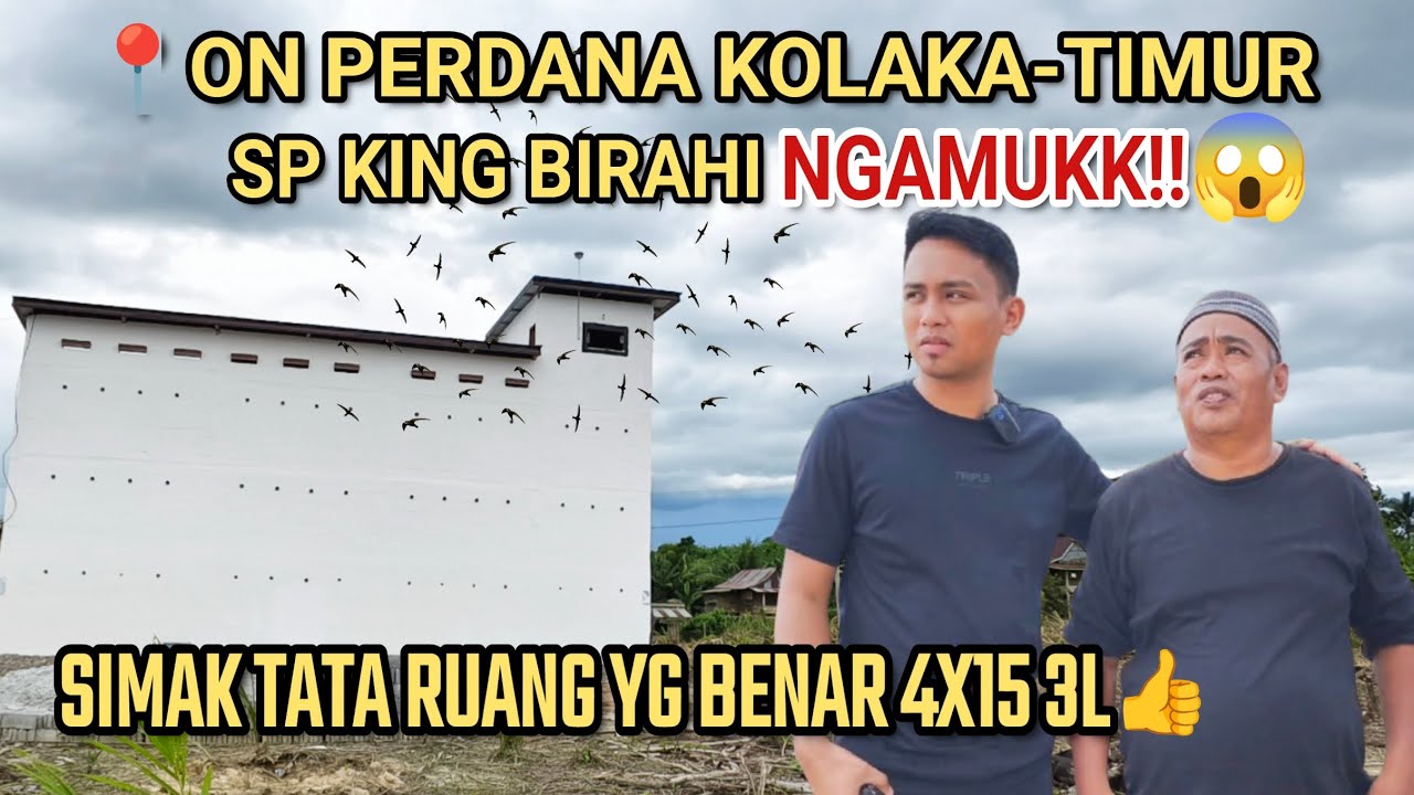 ON PERDANA KOLAKA TIMUR. SP KING BIRAHI NGAMUKK‼️SIMAK TATA RUANG YG BENAR 4X15 3L👍