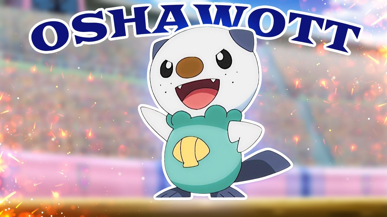 Oshawott Funny Scenes | Oshawott Moments