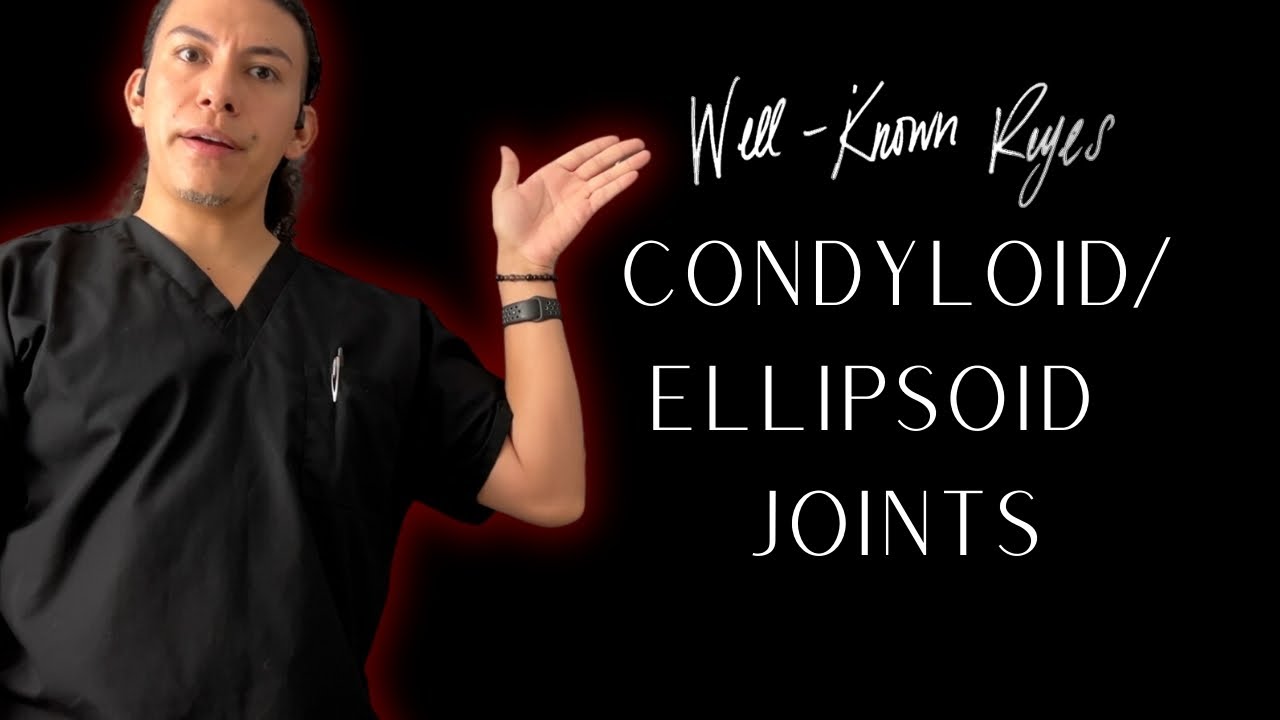 MBLEx Review: Condyloid / Ellipsoid Joints