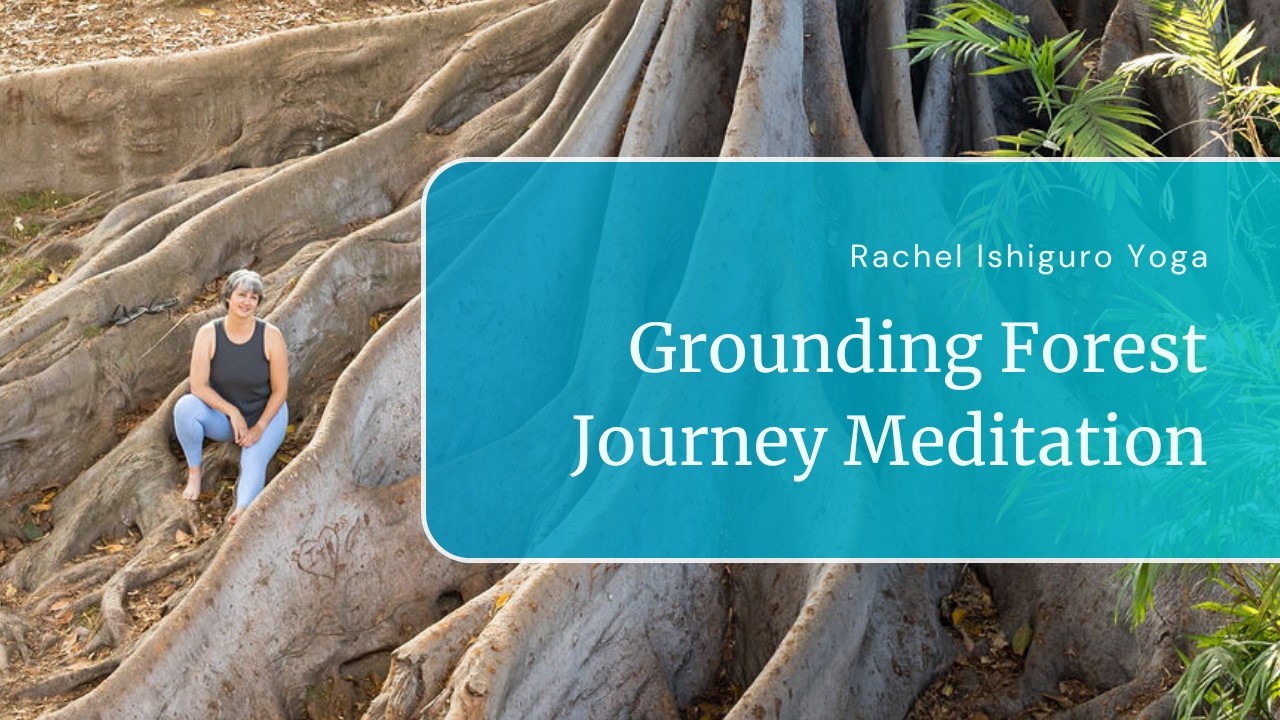 Grounding Forest Journey Meditation | Guided Meditation to Feel Calm & Centered