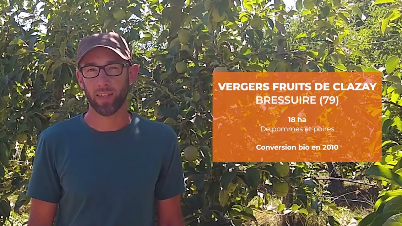Installer ou convertir un verger en bio : viser l'autonomie et l'équilibre