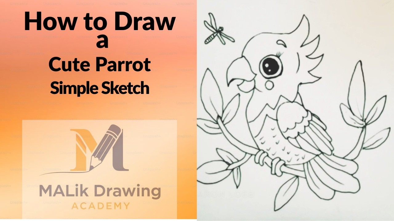 How to Draw a Cute Parrot | Simple Sketch | Malik Drawing Academy 