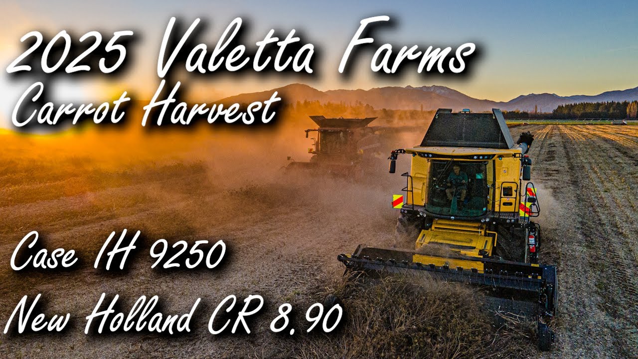 2025 Valetta Farms carrot harvest with Case IH 9250 & New Holland CR 8.90
