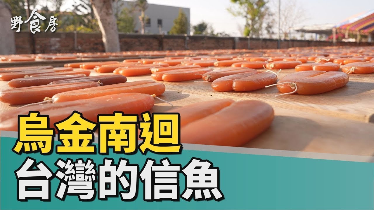 野食房｜烏金南迴 台灣的信魚