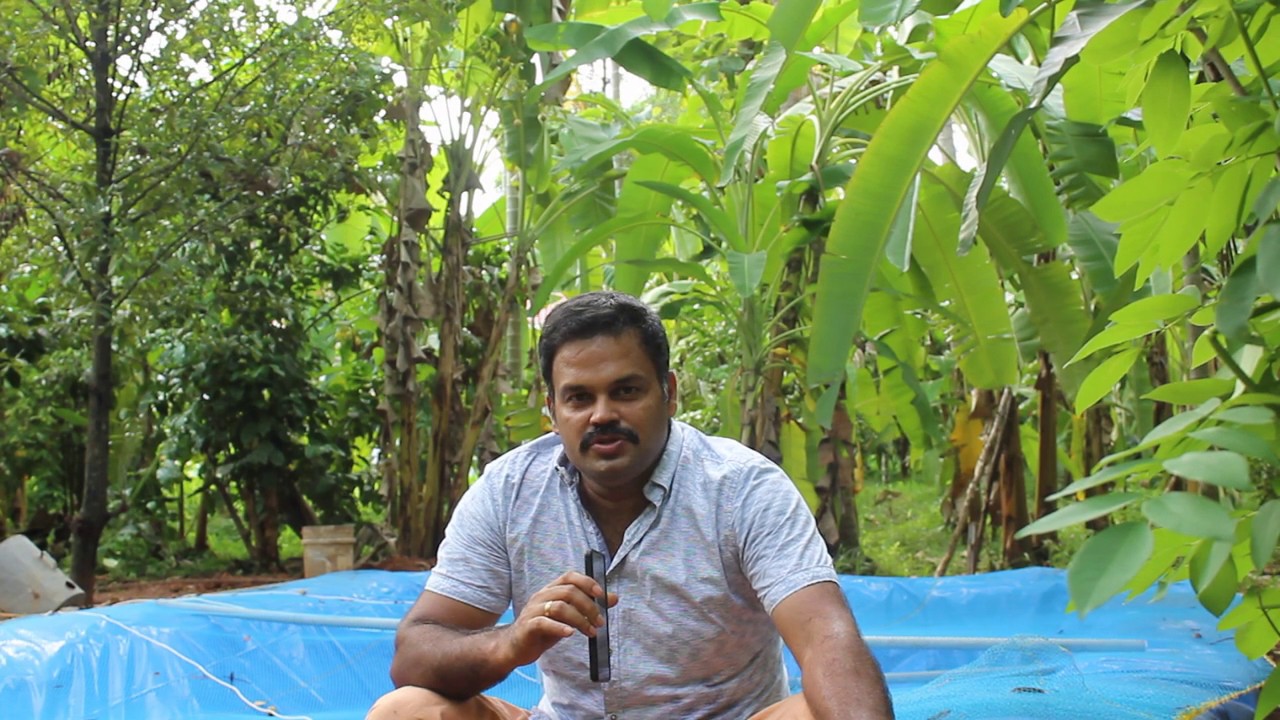 | How I started my padutha kulam || എങ്ങനെയാണ് ഞാൻ എന്റെ പടുതാകുളം ആരംഭിച്ചത് || Biju's Farmland |