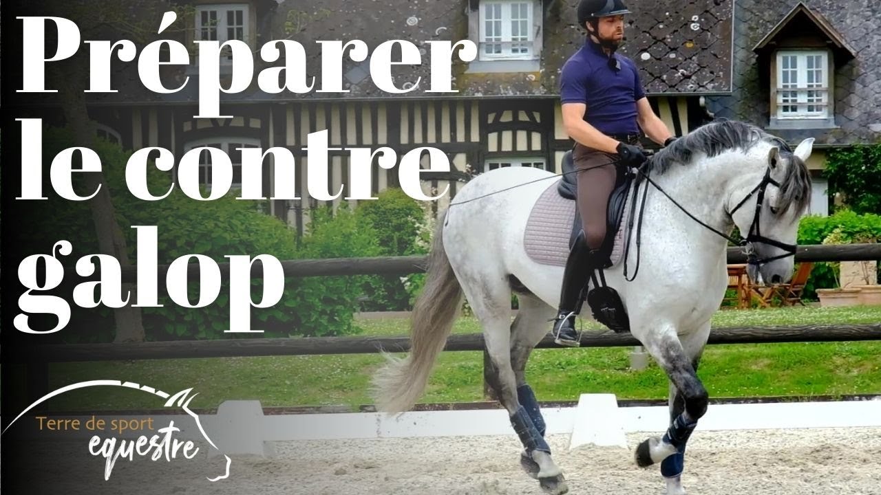 Comment préparer le contre galop pour éviter que votre cheval ne change de pied