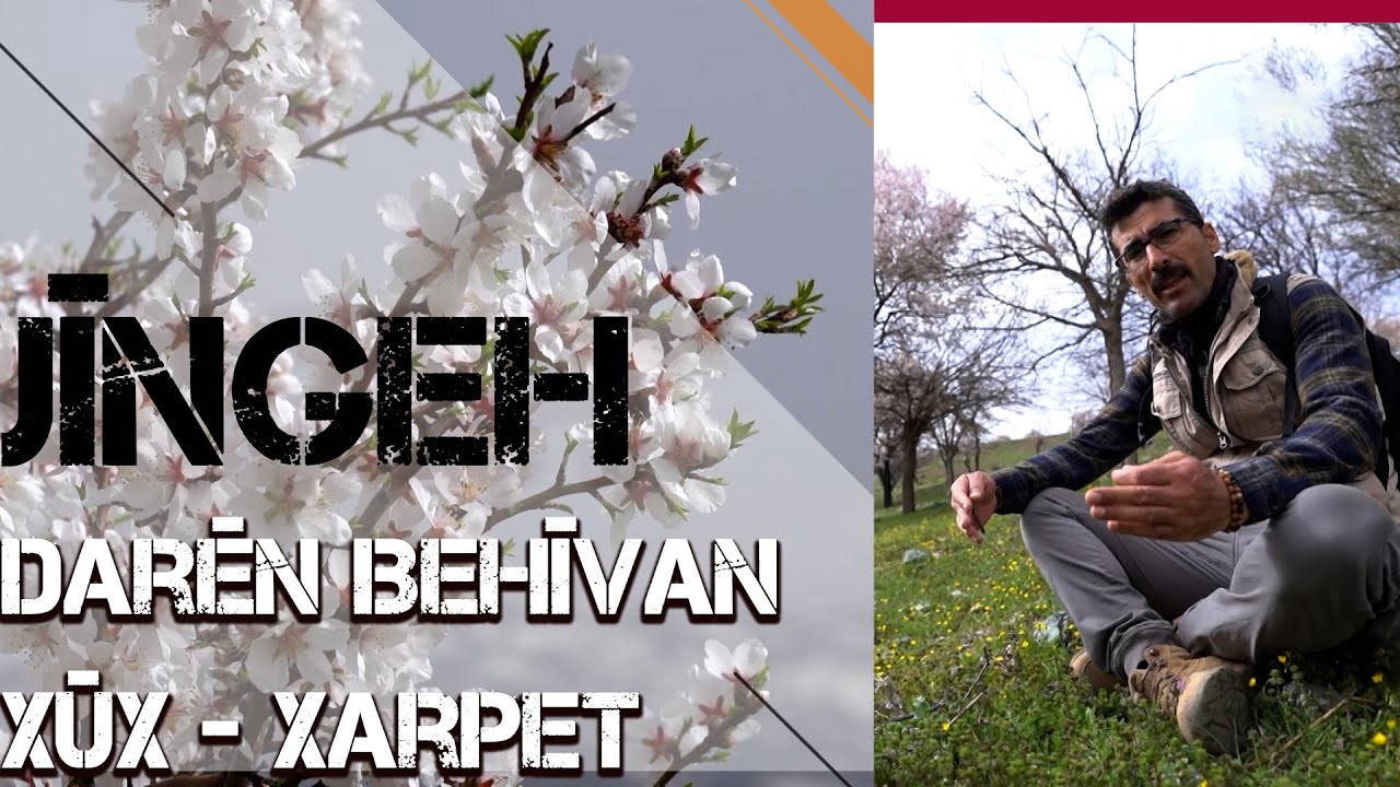 JÎNGEH - DARÊN BEHÎVAN / HEREMA XÛX