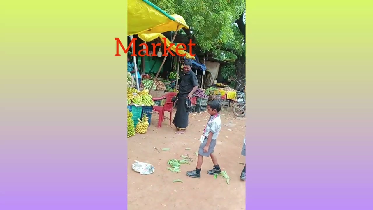 Places Around Us Field Trip by our LKG Students || Sri Vidyaniketan|| Singarayakonda