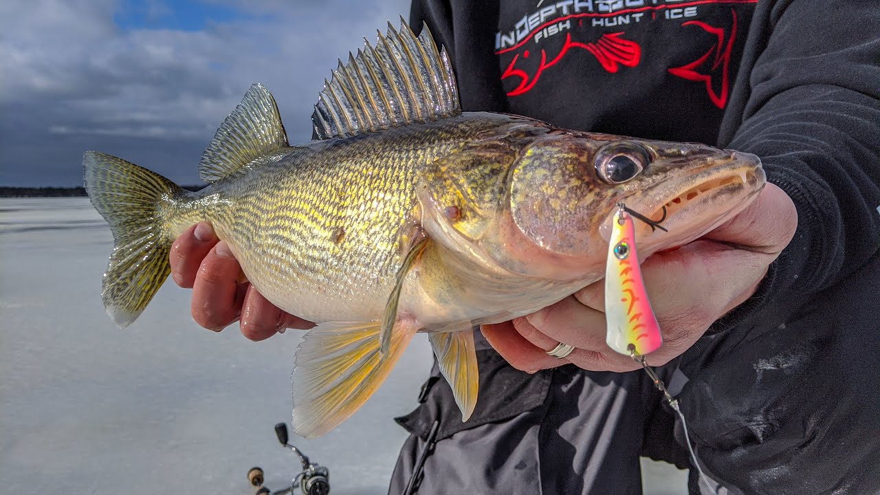 Non-Stop Daytime Walleyes - How-to Ice Fish Petenwell Lake in Wisconsin for Walleyes. | S14 E9