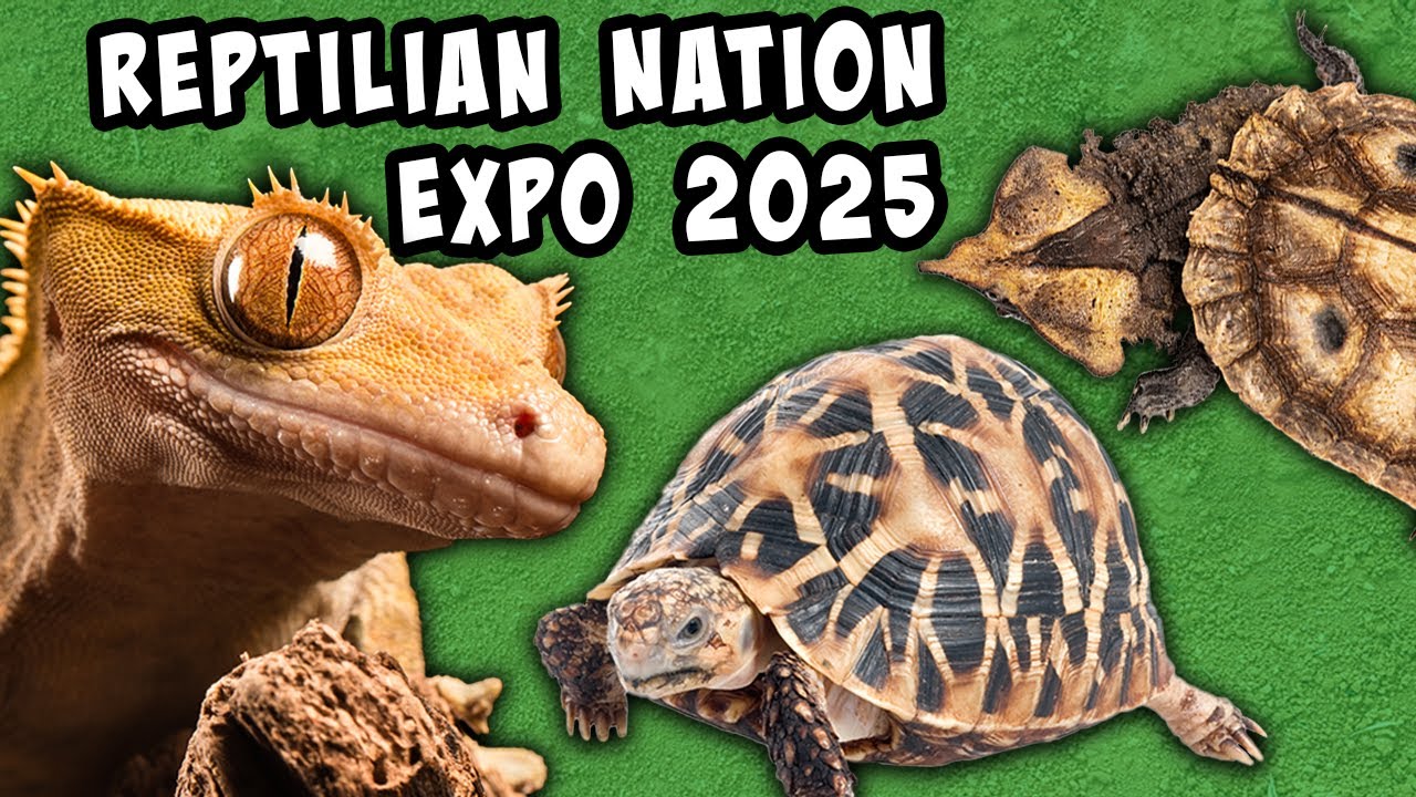 Reptilian Nation Expo 2025 West Palm Beach