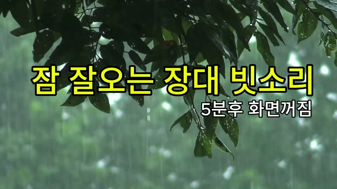 잠 잘오는 장대 빗소리/ 5분후 화면꺼짐