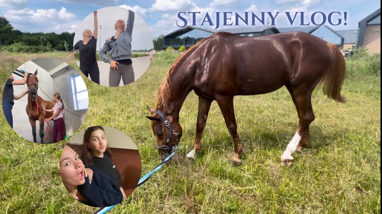 Szalony stajenny vlog! / #1 @siostry.sj.equestrian