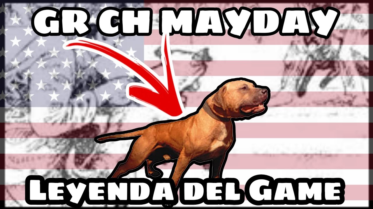 HISTORIA De Gr Ch MayDay🤯 el nacimiento de una leyenda