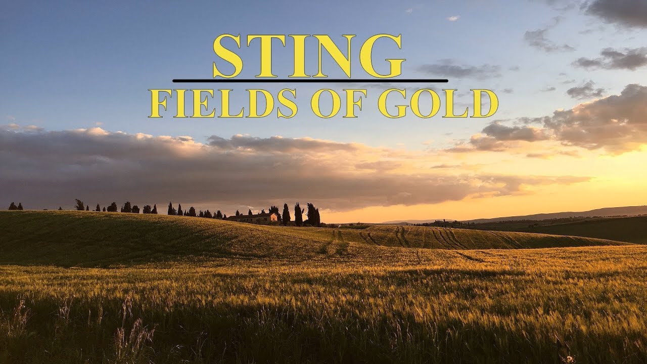 STING - FIELDS OF GOLD | guitar, chords, lyrics