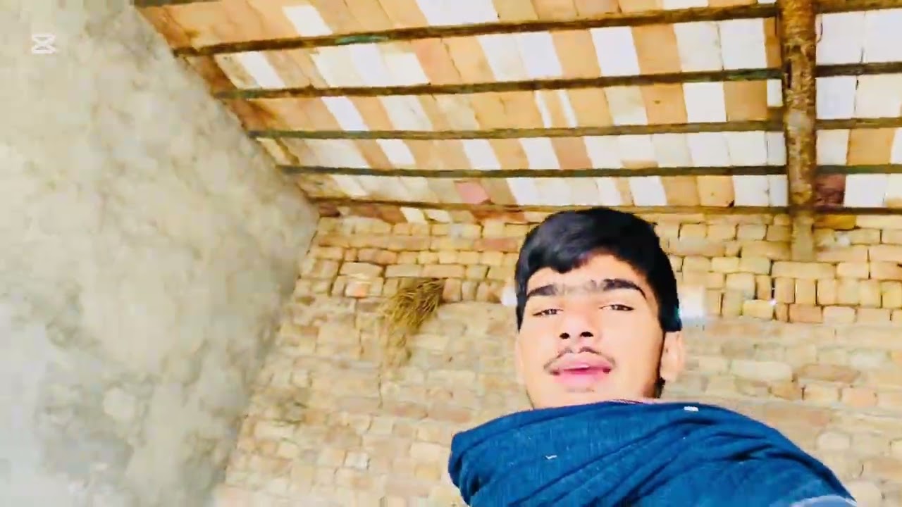 My village blog bouncing dog and love ❤️🐗🐃🐃🐃🐃🐃
